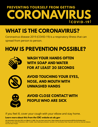 Coronavirus Prevention Poster Icon