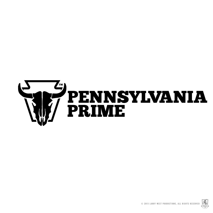 Pennyslvania Prime - Secondary Logo
