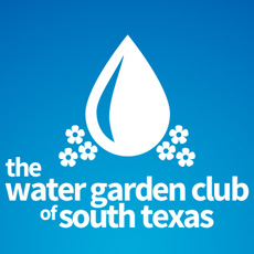 Water Garden Club Broucher Design