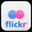 Flickr Icon