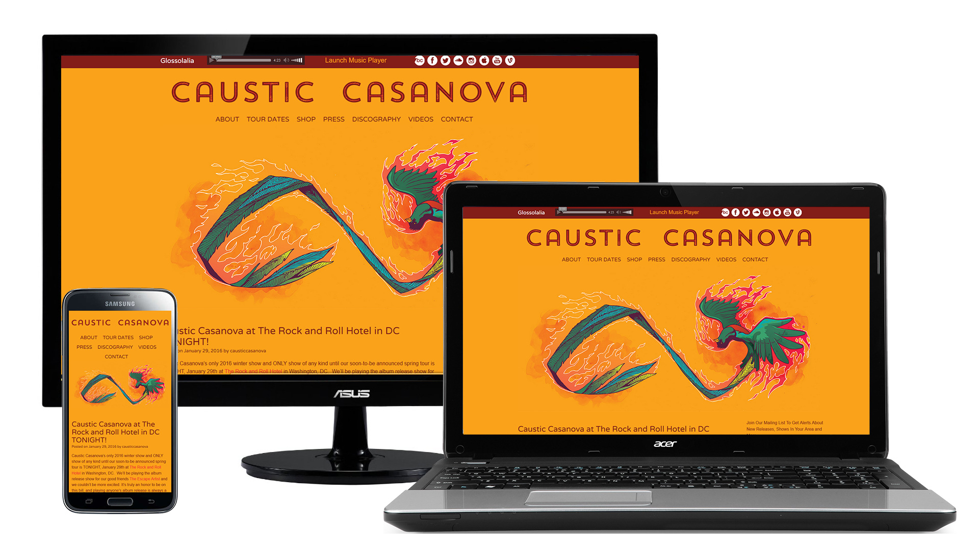 Caustic Casanova - Responsive Website Design