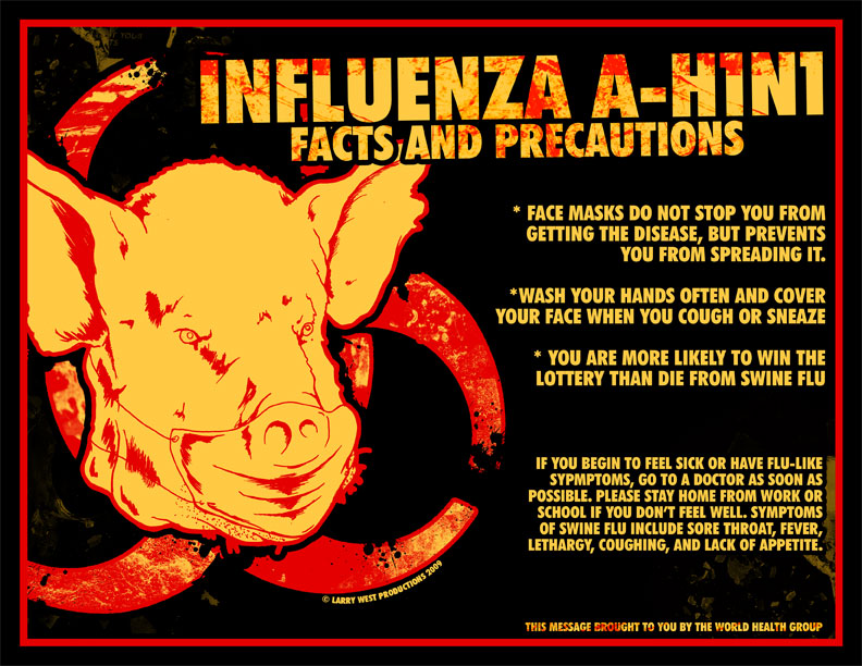Swine Flu flyer